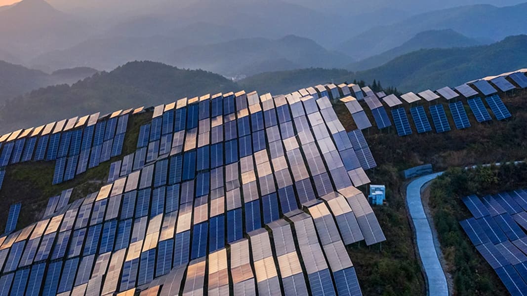 The mountaintop solar farm is symbiotic with plants 